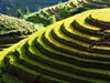 Vietnam - Napříč Vietnamem, hlavní (Bc. Michaela Šmídová)